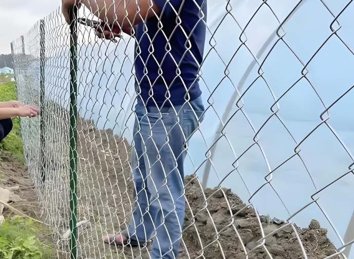 Chain Link Fence / Diamond Mesh Fence