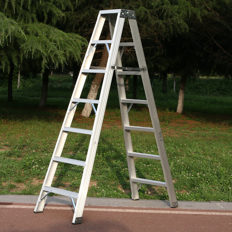 Practical Ladder: Safe & Easy Elevation