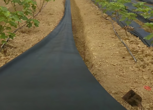 Eco-Friendly Biodegradable Weed Control Fabric