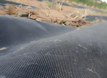 Eco-Friendly Biodegradable <span>Weed</span> Control Fabric