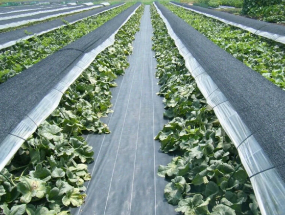 Home & Garden Weed Control Fabric (Consumer Grade)