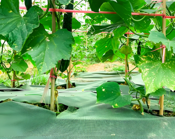 Two-Tone Warning/Safety Weed Control Fabric