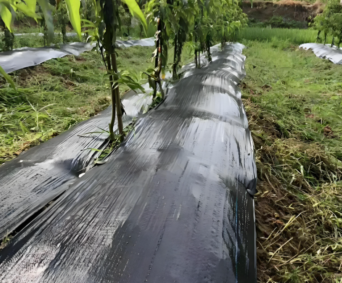 Water-Permeable Weed Control Net Product Details