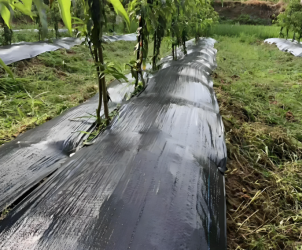 <span>Water</span>-Permeable Weed Control Net Product Details