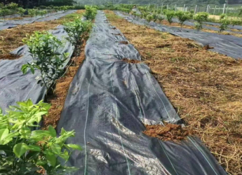 UV-Treated Woven Weed Control Fabric