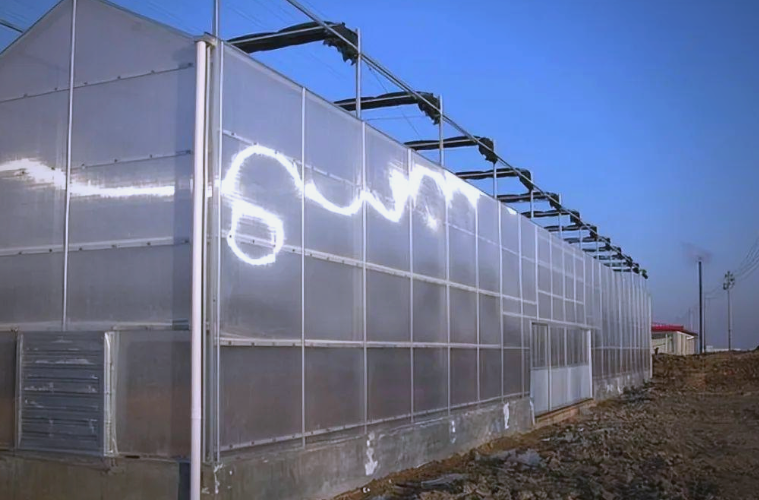 Agricultural Sunlight Greenhouse Panel