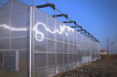 Agricultural Sunlight Greenhouse Panel