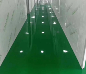 Epoxy Resin Floor Coating Kit (2.5 Car)