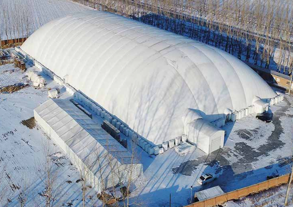Air-Supported Membrane Structure Warehouse