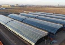 Agricultural Greenhouse Warehouse