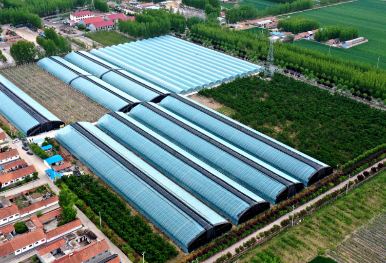 Agricultural Greenhouse Warehouse