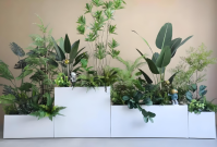 Ecological Green Plant Partition