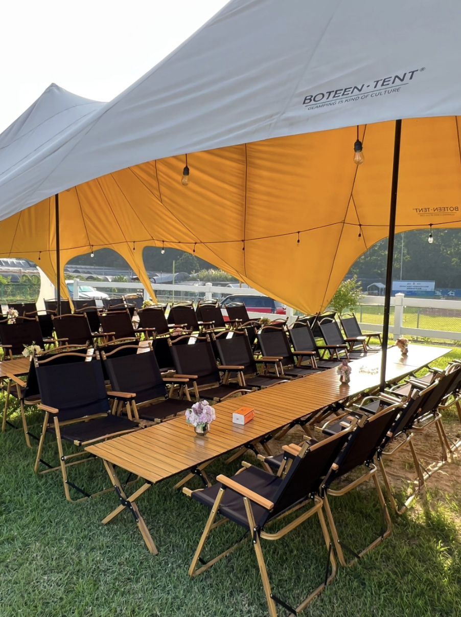 Executive Camping Chair with Canopy