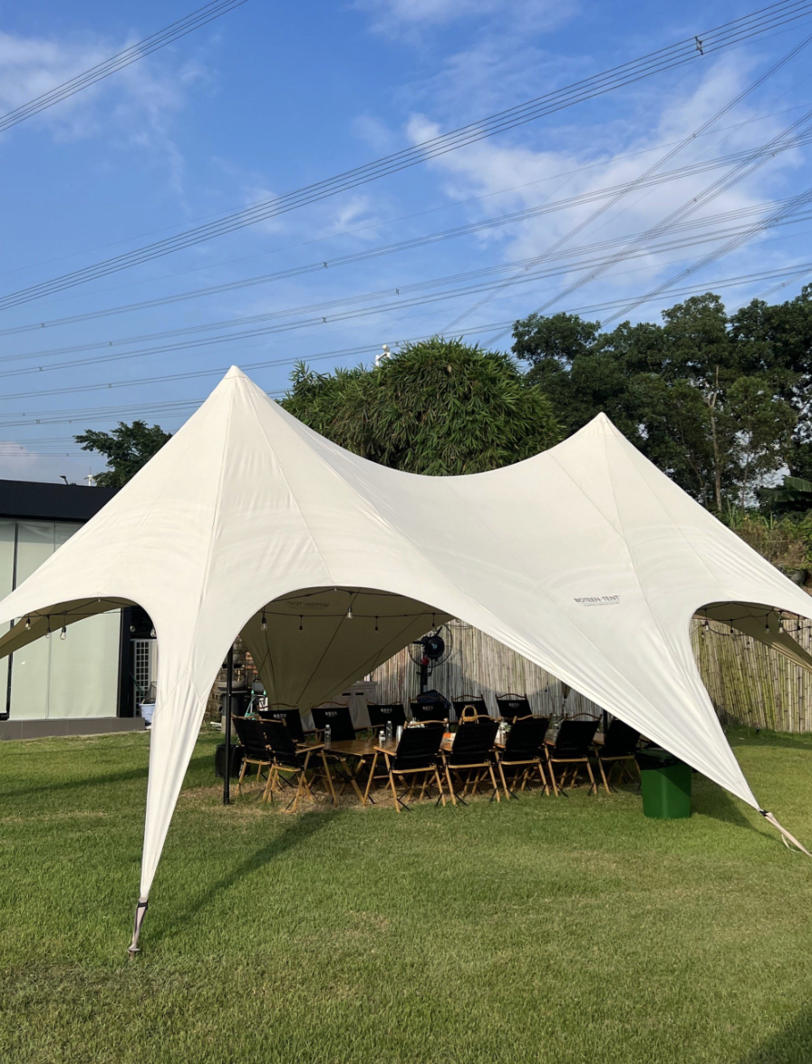 Executive Camping Chair with Canopy
