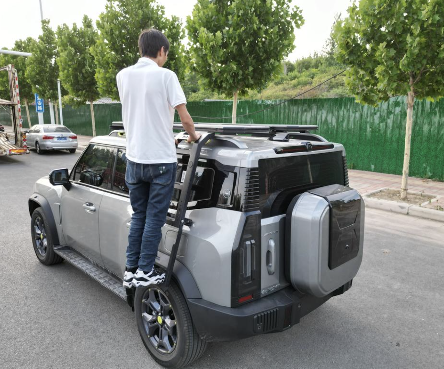 Telescoping Roof Folding Ladder