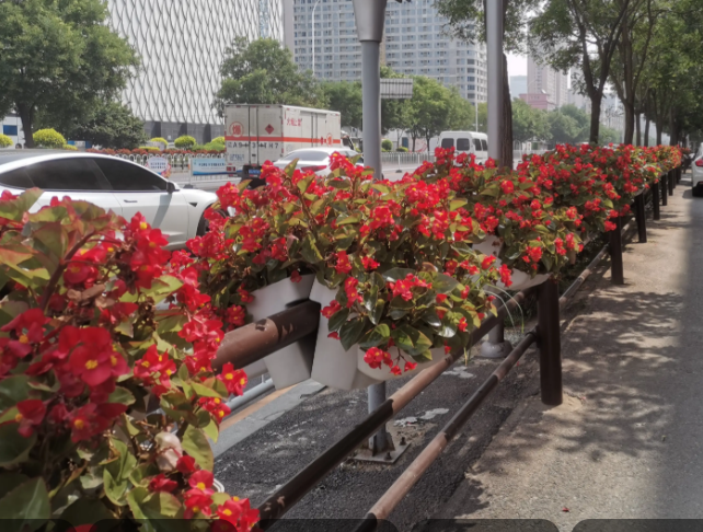 รั้วถนนเทศบาลภูมิทัศน์พร้อมเครื่องปลูกดอกไม้