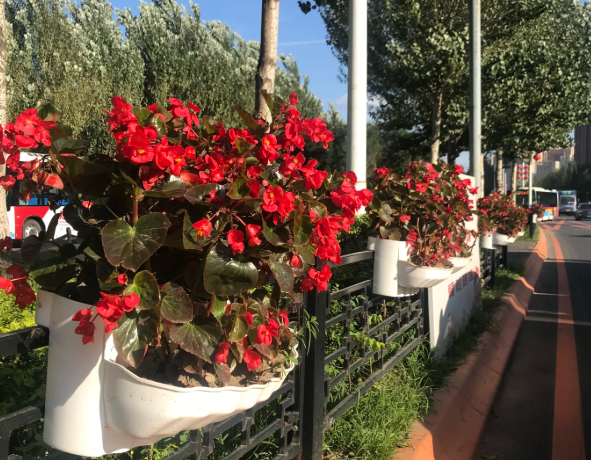 Landscape Municipal Road Guardrail with Flower Planters