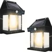 Solar Smart Motion-Sensor Garden Light