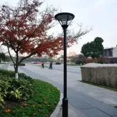 Lampu Taman Pemandangan Tinggi