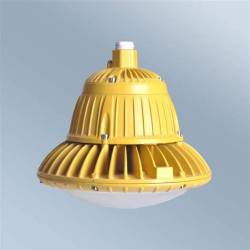 High-Efficiency Energy-Saving LED Explosion-Proof Light for Industrial Factories
