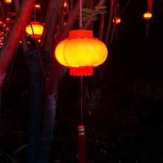 Lanterne imperméable extérieure de Smart LED