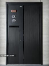 High-Grade Smart Class A Security Entry Door