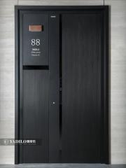 High-Grade Smart Class A Security Entry Door