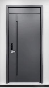 Smart Fingerprint Password Entry Door