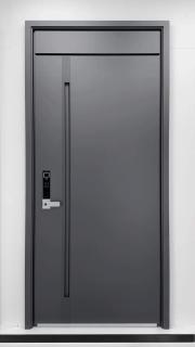 Smart Fingerprint Password Entry Door