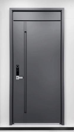 Smart Fingerprint Password Entry Door