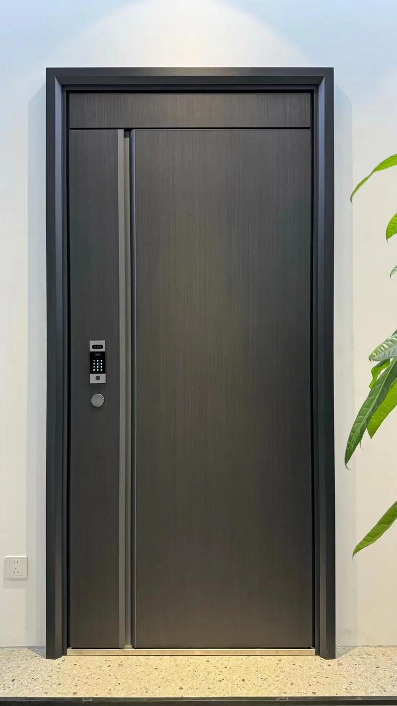 Smart Fingerprint Password Entry Door