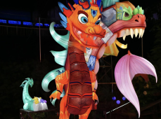 Ensemble Lentera Naga Besar Zigong