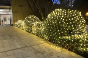 Full-Color Dynamic Outdoor Net Lights