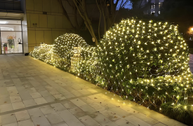 Full-Color Dynamic Outdoor Net Lights