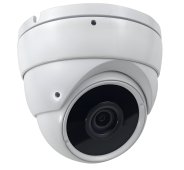 Panoramic Dome Camera with AI Analytics