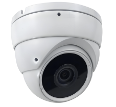 Panoramic Dome Camera with AI Analytics