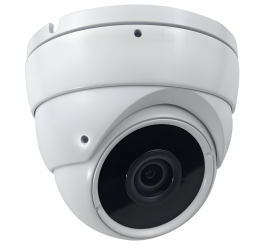 Panoramic Dome Camera with AI Analytics