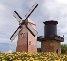 Windmill Climbing Play Tower
