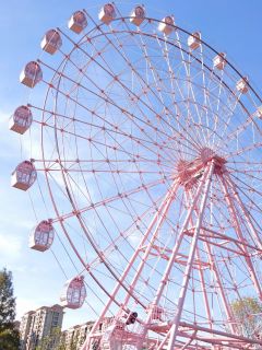 Second-Hand Observation Ferris Wheel