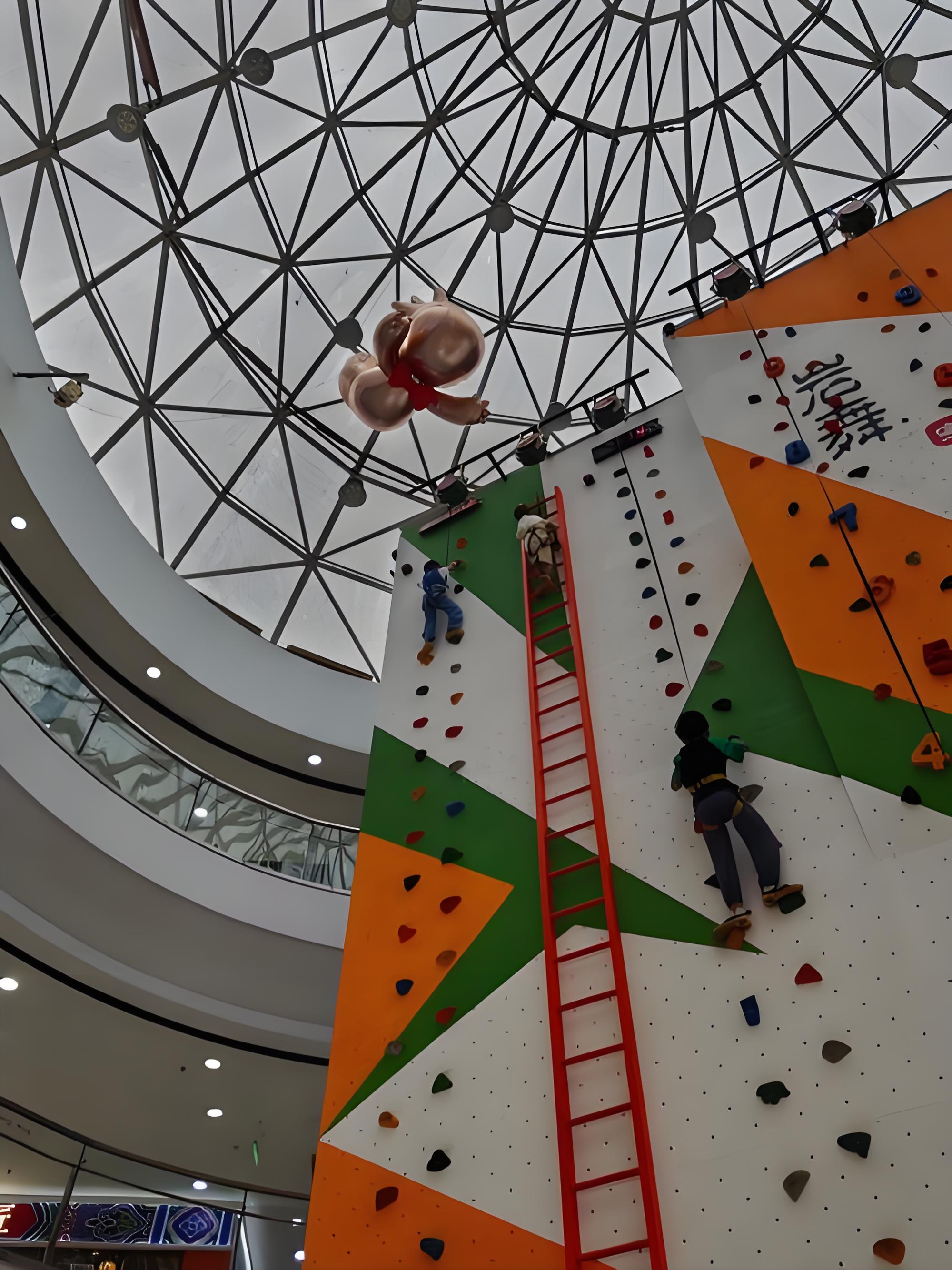 การผสมผสานตาข่ายปีนเขาทุกพื้นที่