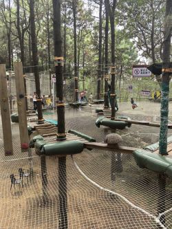 Forest Adventure หอปีนเขาที่ไม่มีพลัง