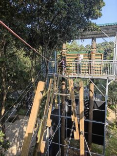 Wooden Forest Adventure Obstacle