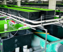 Aquaculture Tank Wave Circulation System