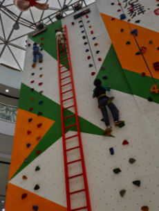 ระบบแผงผนังปีนเขาการฝึกอบรมการขยายตัวระดับสูง