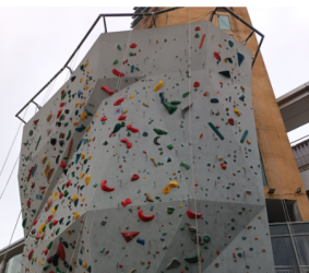 Outdoor Modular Rock Climbing Expansion Training <span>Wall</span> <span>Panel</span>
