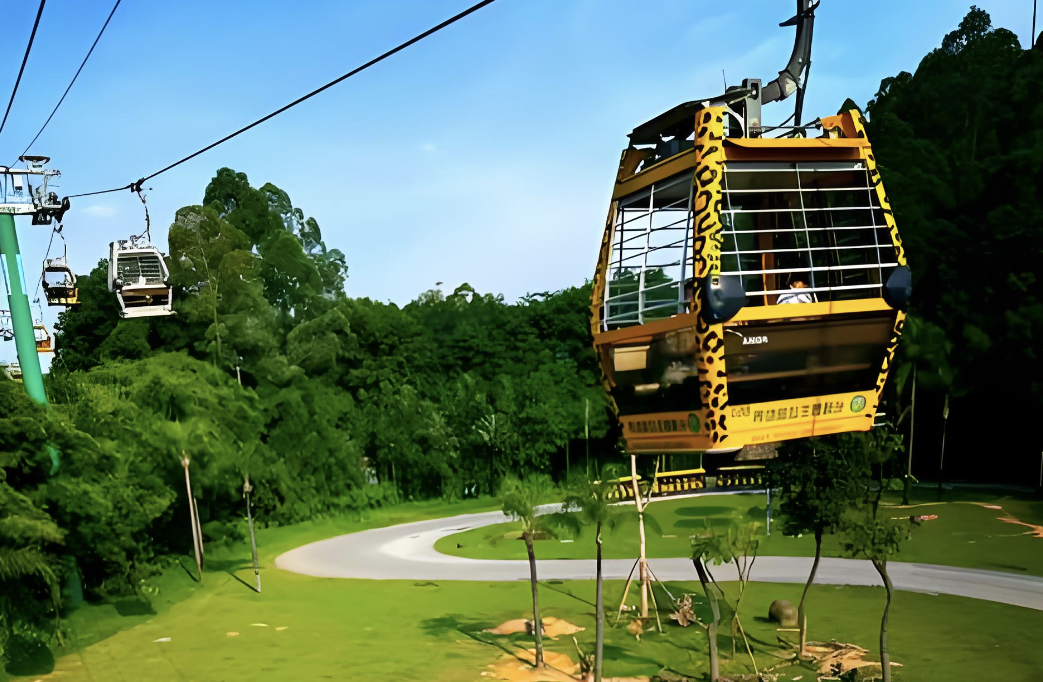 Téléphérique bas niveau Réserve de faune écologique