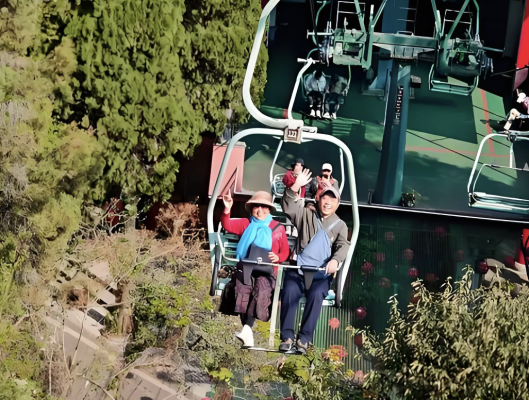 Mountain Resort gia đình trung tâm cáp treo cấp thấp