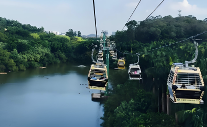 Eco-Friendly Wildlife <span>Reserve</span> Low-Level Cable Car