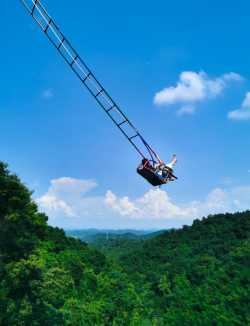 Smart Electric-Controlled Cliff Swing