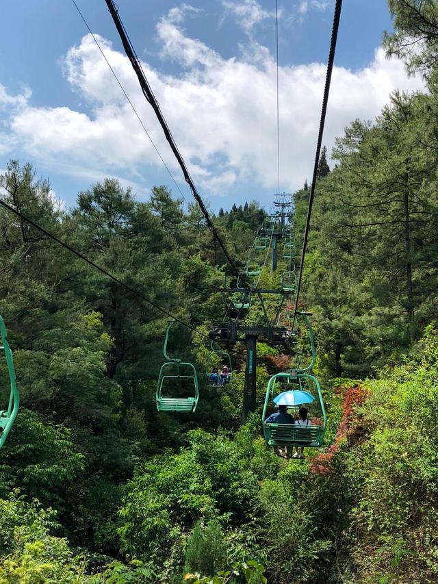 High-End Scenic Double Cliff Swing with Smart Monitoring
